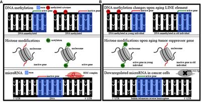 Epigenetic Analysis in Human Neurons: Considerations for Disease Modeling in PD